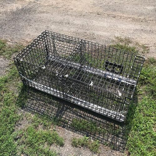 Sea Bass Trap w/Wood Runners – Brooks Trap Mill