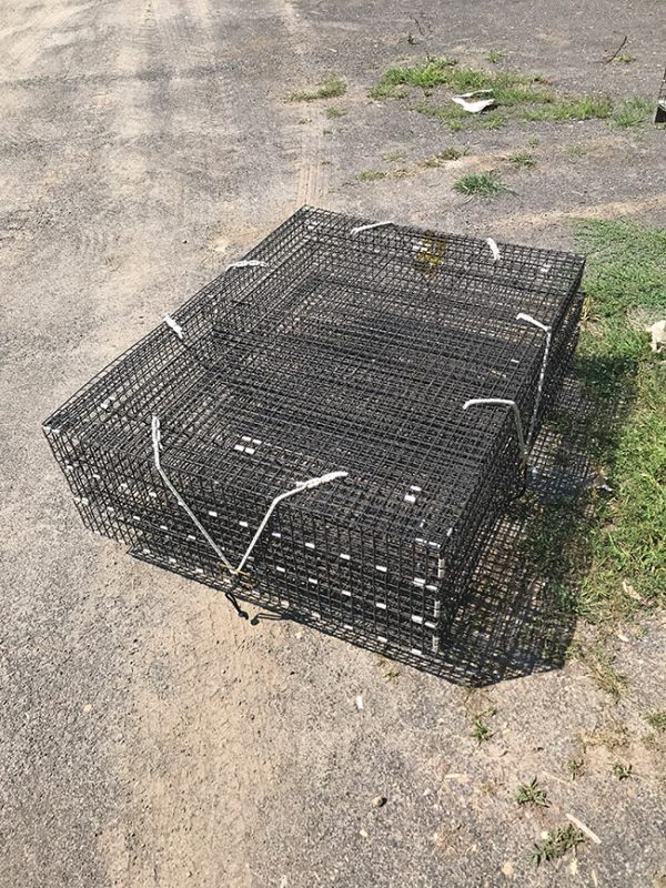 2rack Stackable Oyster Cage Brooks Trap Mill