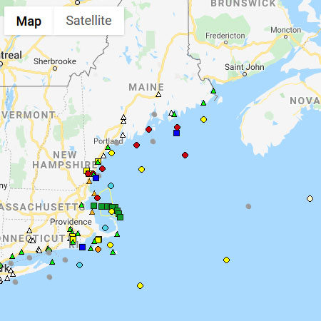 Real Time Buoy Reports